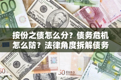 武汉按份之债怎么分？债务危机怎么防？法律角度拆解债务分配与风险自保指南