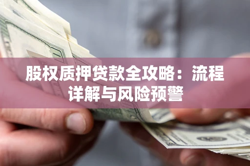 武汉股权质押贷款全攻略：流程详解与风险预警