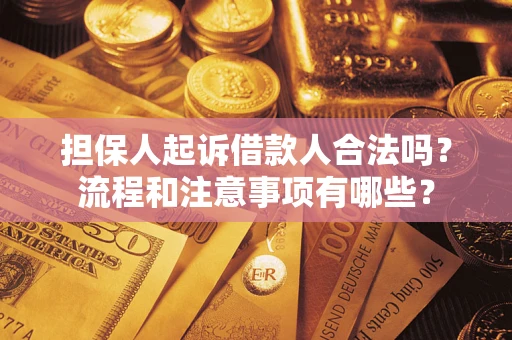 武汉担保人起诉借款人合法吗？流程和注意事项有哪些？
