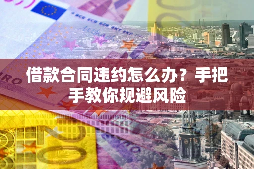 武汉借款合同违约怎么办？手把手教你规避风险