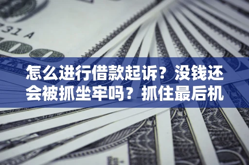 武汉怎么进行借款起诉？没钱还会被抓坐牢吗？抓住最后机会！