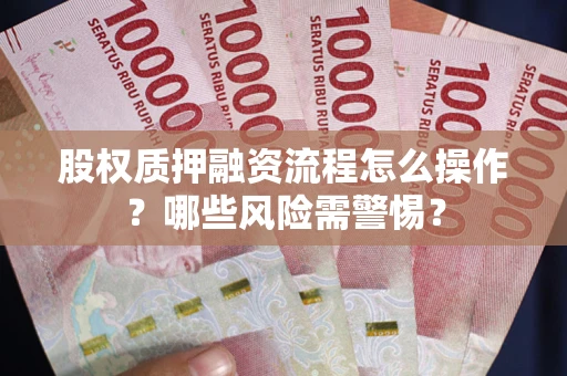 武汉股权质押融资流程怎么操作？哪些风险需警惕？