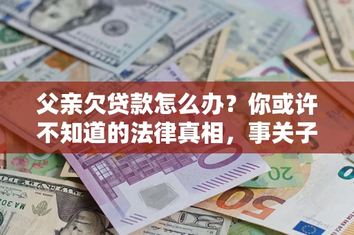 武汉父亲欠贷款怎么办？你或许不知道的法律真相，事关子女未来