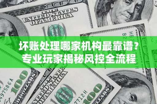 武汉坏账处理哪家机构最靠谱？专业玩家揭秘风控全流程