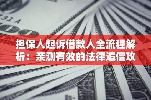 武汉担保人起诉借款人全流程解析：亲测有效的法律追偿攻略