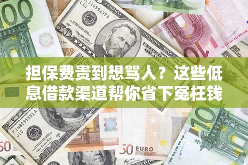 武汉担保费贵到想骂人？这些低息借款渠道帮你省下冤枉钱