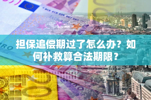 武汉担保追偿期过了怎么办？如何补救算合法期限？