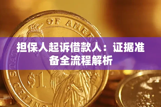 武汉担保人起诉借款人：证据准备全流程解析