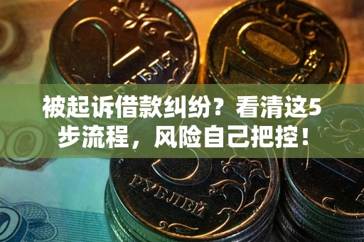 武汉被起诉借款纠纷？看清这5步流程，风险自己把控！