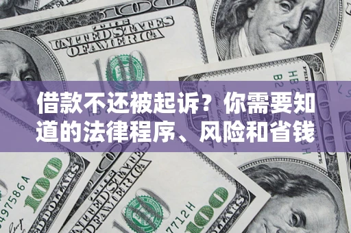 武汉借款不还被起诉？你需要知道的法律程序、风险和省钱技巧