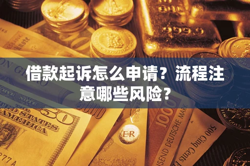 武汉借款起诉怎么申请？流程注意哪些风险？
