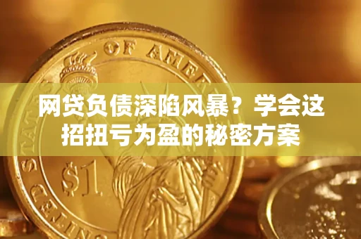 武汉网贷负债深陷风暴？学会这招扭亏为盈的秘密方案